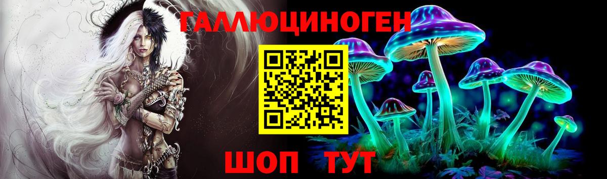 Галлюциногенные грибы Psilocybine cubensis Горно-Алтайск